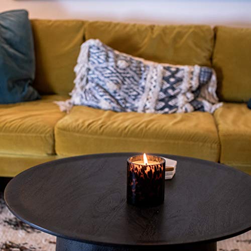 Votivo Red Currant Collection Candle-Timeless Tortoise #TOP1