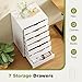 Sweetcrispy 7 Drawer Chest Mobile Storage Cabinets Wooden Dresser with Wheels Room Organization Furniture for Office, Pure White