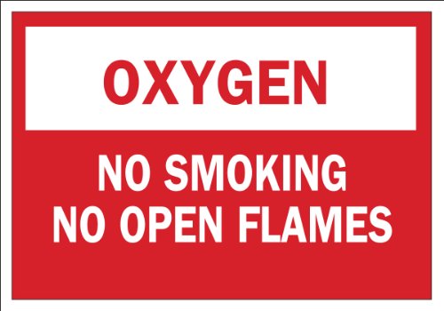 Panneau autocollant No Smoking No Open Flames Brady 88455 en polyester 17,8 x 25,4 cm