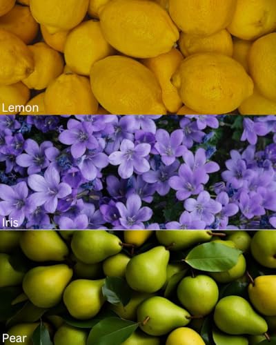 Image of TOXICMALE Is*ey Miyake + Homme Intense | Perfect Long lasting Men's perfume for Office | perfumes for men | Gift for him | TMA32 | 50 ml perfume | TM Perfume House