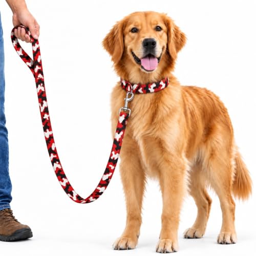 Image of Premium Dog Leash - Extra Strong & Durable Nylon, 5 Feet (1.5M), Reinforced Stitching, Sturdy Metal Hook & Comfortable Grip for Safe Walking, Running, Training and Outdoor Adventures