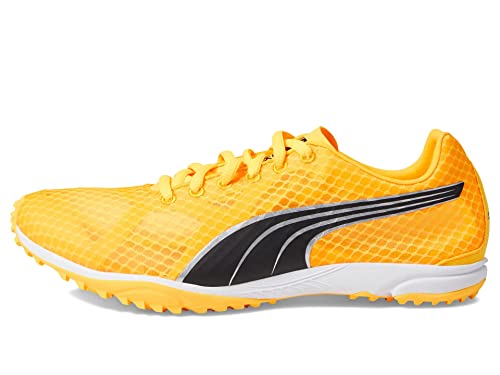 PUMA PUMA Mens Evospeed Haraka Track and Field Shoe, Sun Stream-Sunset Glow-PUMA Mens Black, 12
