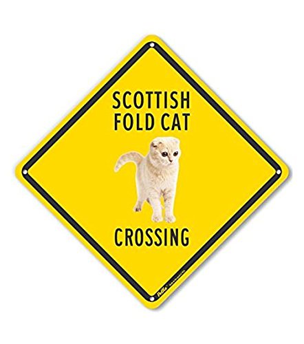 Panneau Scottish Fold Cat Crossing plaque plastique de signalisation chat 25,4 cm