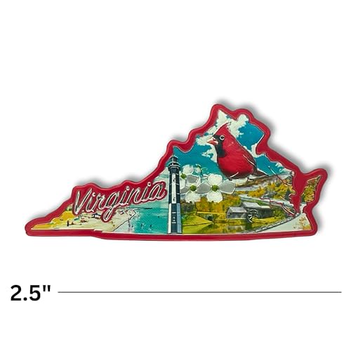 Imán decorativo metálico de Virginia 2.5 pulgadas miniatura 4