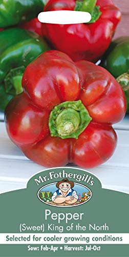 Mr Fothergill's Pepper King of The North Sweet Seed, Red