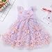 Toddler Butterfly Fairy Tale Princess Dress - Sleeveless Lancme Tutu Style for Baby Girls' 1st Birthday Party Flower Girl - Butterflies Embroidery Lilac 2-3T