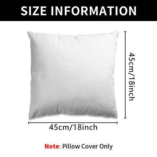 Jasmoder Black White Race Checkered Flag Throw Pillow Covers 18 X 18 Inch Set Of 2 Square Cushion Pillow Case Home Decor For Couch Sofa Bed Living Room #TOP6