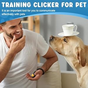 Dog Training Kit,Dog Whistle to Stop Barking Neighbors Dog,Dog Clicker for Training,Adjustable Ultrasonic Silent Dog Whistle(Orange).