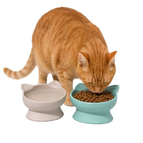 Kitty City Elevated Cat Bowls (Set of 2), Whisker-Friendly Raised Cat Food &... - Image 2