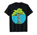DNA Shaped Tree