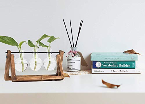 Hyindoor Plant Terrarium With Vintage Wooden Stand And Metal Rotating Rod For Hydroponics Propagation Station Plants Desktop Glass Planter For Home Decoration 3 Bulb Vase #TOP1