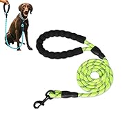 Amazon | 強力な犬用リード、快適なパッド入りハンドル付き、耐久性の