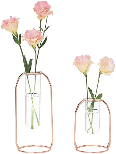 Hyindoor Glass Vases Set of 2 Metal Flower Planter Terrariums Plant Glass Clear Decorations for Living Room, Rose Gold