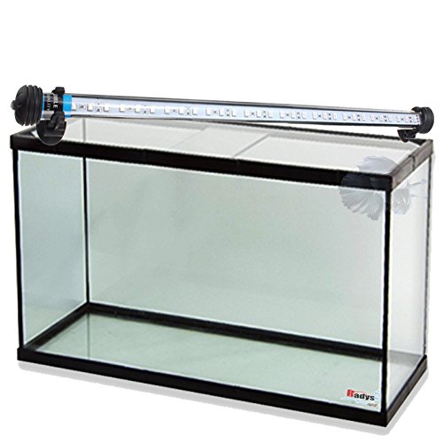 BETTASHOP.ES ACUARIOS DE Cristal con LUZ LED SMD ACUARIOS Y PECERAS DE Cristal...