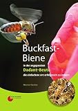 Buckfast-Biene in der angepassten Dadant-Beute: die einfachste Art erfolgreich zu imkern