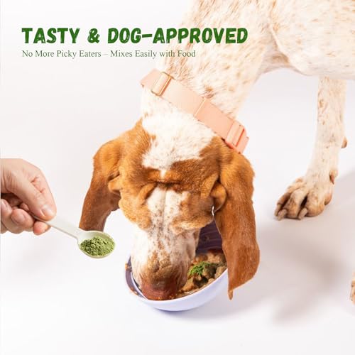 Vetriuntrix Dog Dental Powder, 200g Dental Powder for Dogs Teeth Cleaning and Breath Fresh, Dog Teeth Cleaning Powder with Natural Plants Ingredients and Postbiotics — view 4