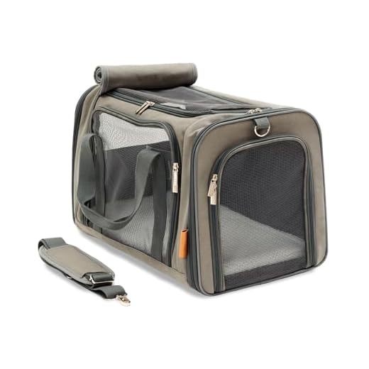 Katten Reismand: In deze 20 kan jouw kat echt veilig mee. 10 PiuPet® Kattentransportbox - ideaal voor katten en kleine honden - stabiele transporttas met groot gezichtsveld - transportbox kat - stijlvolle kattenbox met uitneembare fleecemat, 50x26x28, grijs