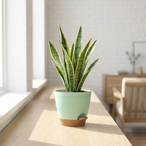 Pot de fleurs auto-arrosage en lot de 10 pour l'intérieur, bac à réserve d'eau vert olive - 8