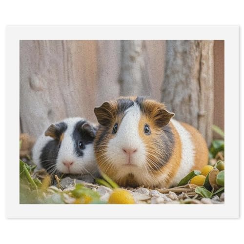Kit de peinture par numéros cochon d'inde mignon toile 40x50cm STVNKML pour adultes débutants