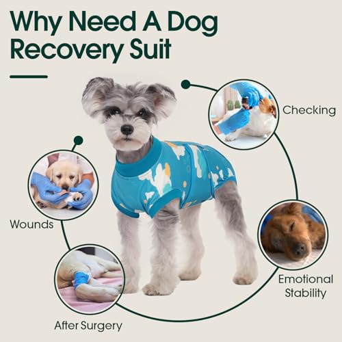 Image of Kuoser Recovery Suit for Dogs After Surgery,Printed Dog Surgery Suit Female Male Spay Neuter,Anti-Licking Dog Onesie for Abdominal Wounds Skin Disease,Pet Surgical Recovery Bodysuit Cone Alternative,S