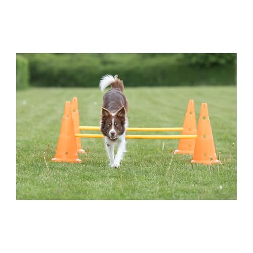image for TRIXIE Dog Agility Hurdle Cone Set – Dog Agility Set with Height Adj
