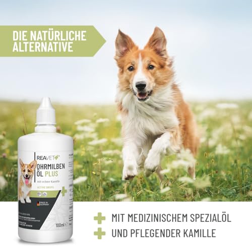 ReaVET Ohrmilbenöl Plus 100ml sofort wirksames Mittel für Hunde – gegen Ohrmilben mit Kamille, Sanfte Pflege bei Juckreiz im Ohr, Ohrentropfen Milben, Ohrenreiniger