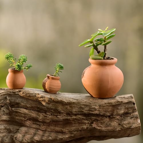 Angoily 6 Pieces Small Mini Clay Pots, Terracotta Pots, Ceramic, Sillarware, Planse, Cactus, Juice Children' for Indoor Outdoor Use - Image 2