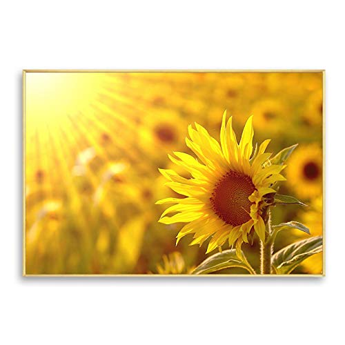 Soleil Coucher De Soleil Fleurs Toile pour Ambiance Chaleureuse Chambre