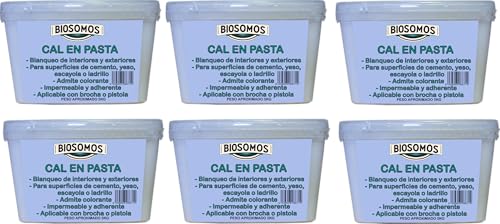 Cal Apagada En Pasta 5Kg Biosomos (6 Unidades)