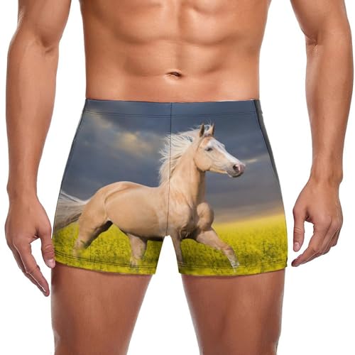 Maillot de bain homme slip short de natation boxer Cheval des Champs