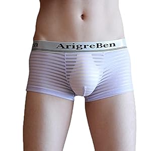 Boxershorts voor heren, katoenen onderbroek, basic boxer, broek voor mannen, gestreept, transparant ondergoed, broekje…