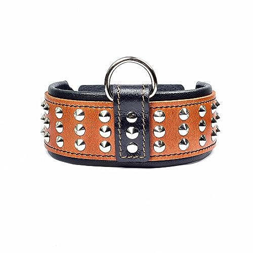 Bestia '' Star '' Collare per Cani in Vera Pelle con Borchie