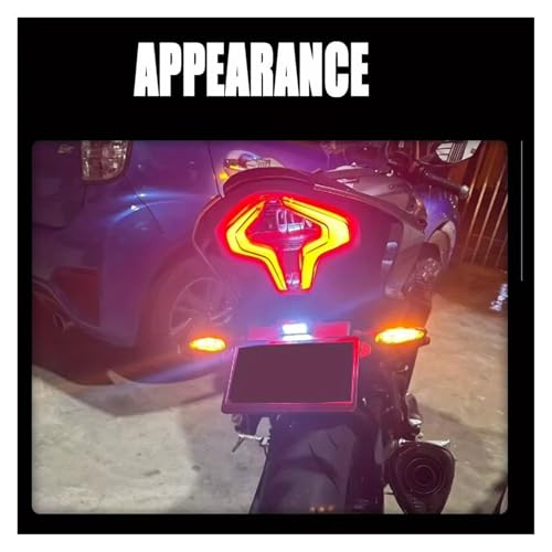 Support plaque d'immatriculation moto pour sublimer vos sorties en CFMOTO - 3