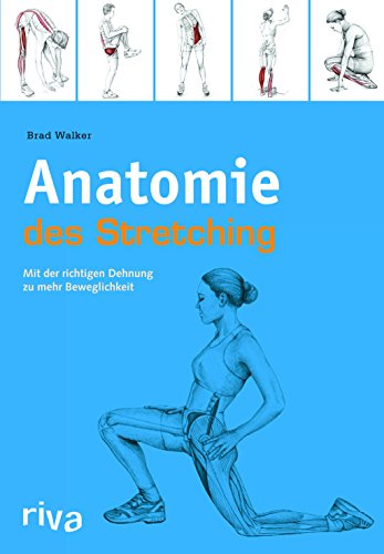 Anatomie des Stretchings: Mit der richtigen