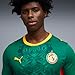 PUMA Men's Senegal FA Away Jersey Replica, Wild Green- Red SS26, XX-Largearge Fsf Replica