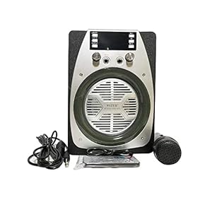 Karaoke luidspreker met microfoon, FM-speler, MP3-speler, draadloos, draagbaar, hout, USB-SD-kaart, oplaadbaar, met…