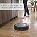 Imagen de Robot Aspirador iRobot