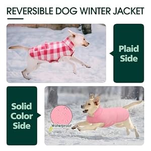 Kuoser Dog Winter Coat, Windproof Dog Fleece Jacket British Style Plaid Cold Weather Dog Vest Coats, Reversible Cozy Warm Dog Clothes Pet Apparel for Small Dogs S Kuoser Dog Winter Coat, Windproof Dog Fleece Jacket British Style Plaid Cold Weather Dog Vest Coats, Reversible Cozy Warm Dog Clothes Pet Apparel for Small Dogs S