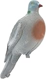 locktauben halbschalen Magnet für andere Vögel EUROHUNT Locktaube-Beflockt Lockvogel, Grau, Attrappe