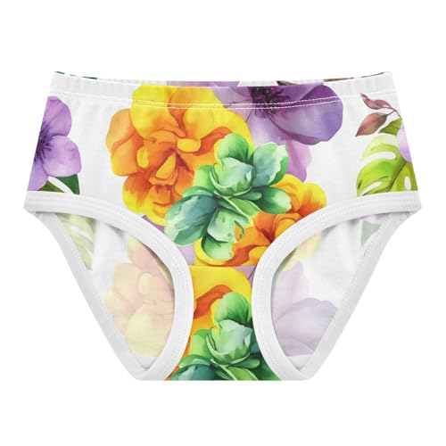 Cotton Girls Underwear Toddler Floral Spring Little Girl Panties Fun Briefs Kids Undies 2t
