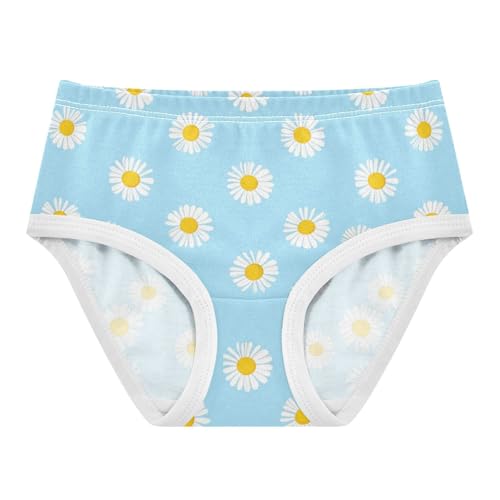 White Daisies Pastel Blue Girls Underwear Toddler 2t Cotton Panties Little Girl Designer Kids Briefs Undies