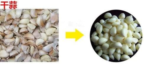 Garlic Peeling Machine Electric Garlic Peeler Household Commercial