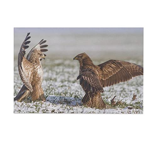Fdcsyp Red Tail Hawks Eagle Bird Canvas Poster Bedroom Decor Sports Landscape Office Room Gift,Canvas Wall Art Print Picture Paintings For Living Decoration 12X18Inch(30X45Cm) #TOP29
