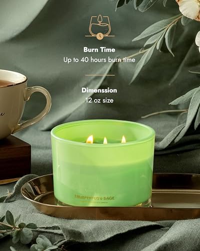 Image of 96NORTH Luxury Eucalyptus & Sage Soy Candle | Large 3 Wick Jar Candle | Up to 50 Hours Burning Time | 100% Natural Soy Wax | Housewarming Gift for Men and Women