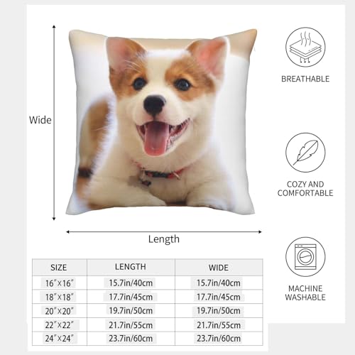 Taies d'oreiller Corgi lot de 2 housses de coussin décoratives aspect lin 45x45