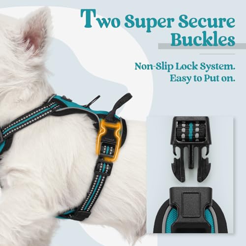 Image of rabbitgoo Dog Harness No Pull with 2 Leash Clips, Adjustable Soft Padded, Reflective Oxford No Choke Pet Vest with Easy Control Handle for Puppy, Teal, XS