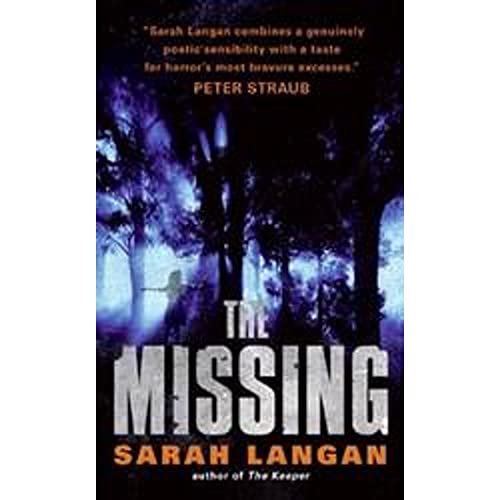 The Missing view 2