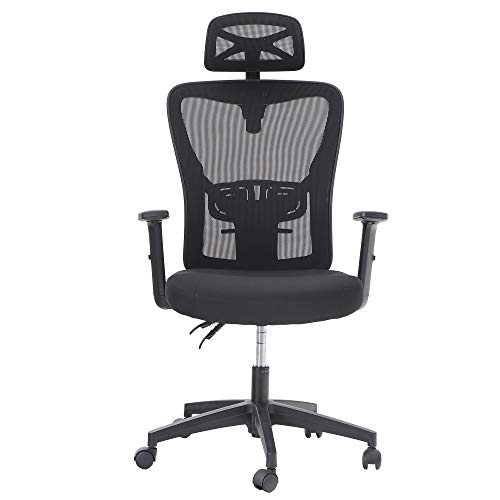 MAISON ARTS Ergonomic Home Office Chair, Mesh Computer Task Chair Desk Chair with Adjustable Headrest, Armrest and Lumbar Support MAISON ARTS Ergonomic Home Office Chair, Mesh Computer Task Chair Desk Chair with Adjustable Headrest, Armrest and Lumbar Support