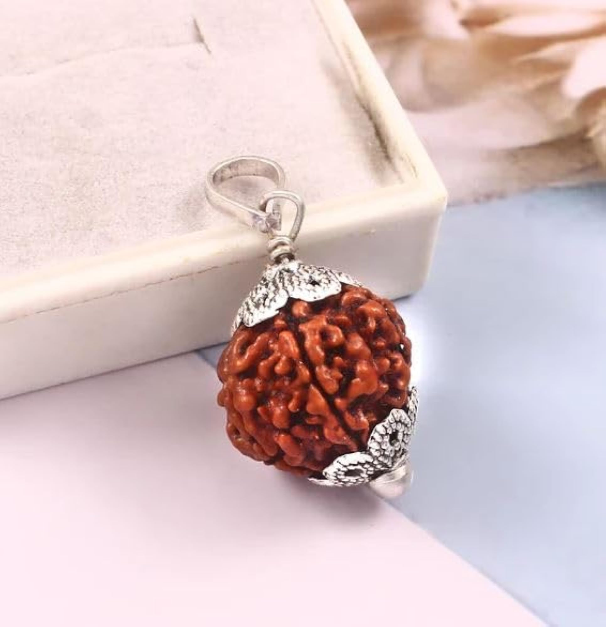Six Face Rudraksha Original Certified Bead