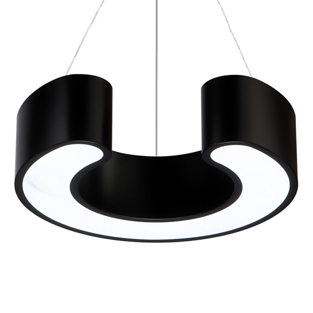 Suspension LED acrylique annulaire 48cm luminaire plafonnier 6500K salon